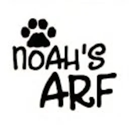 Symbol von Noah's Arf